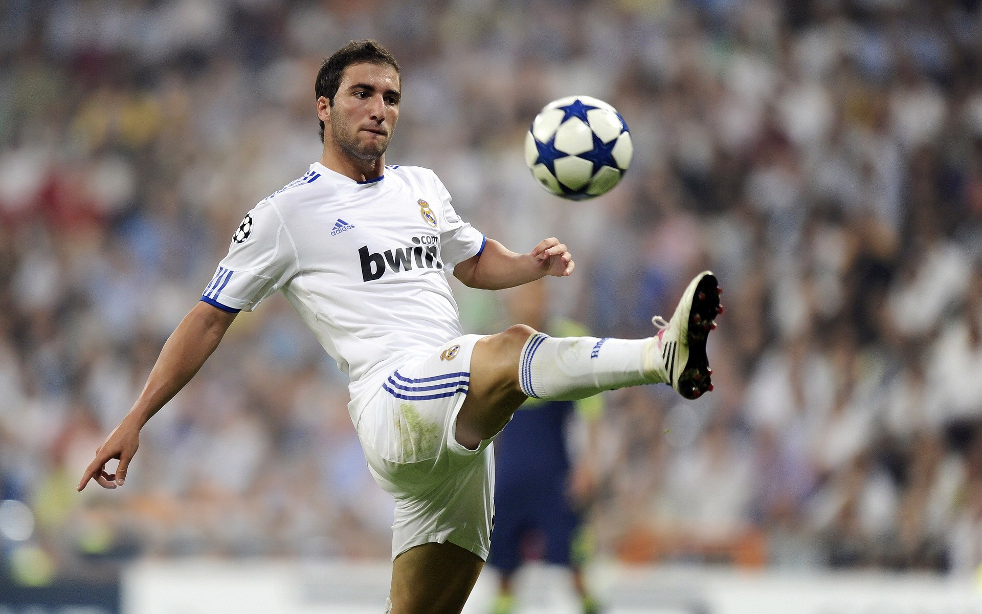 世界杯后：心理热线数据显示 因赌球输钱导致的情绪求助显著增加